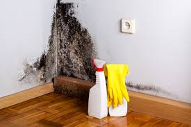 Best Mold Remediation for Healthcare Facilities  in Kotlik, AK